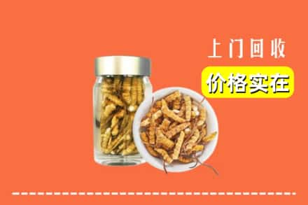 黄冈市麻城回收散虫草