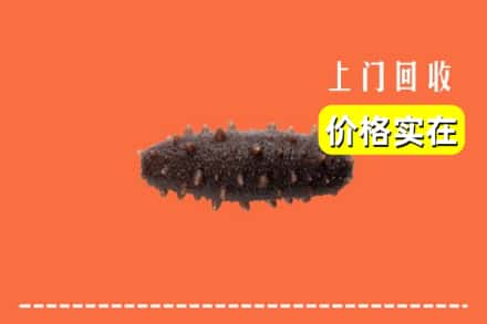 黄冈市麻城回收海参