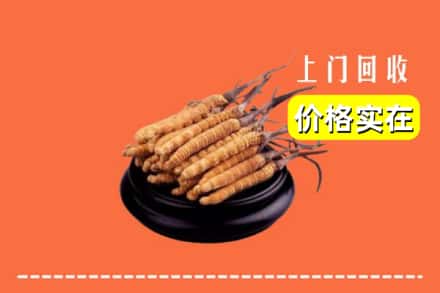 黄冈市麻城回收冬虫夏草